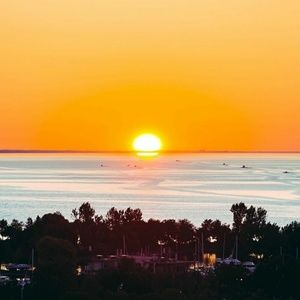 Meet your Posher, Nicholas